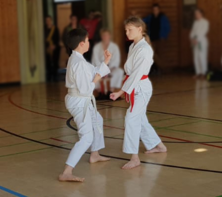 Disziplin Kumite