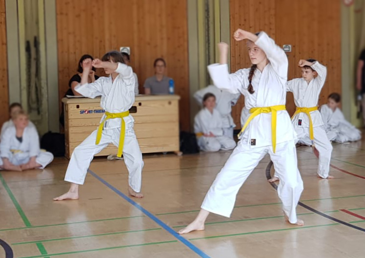 Kata-Team